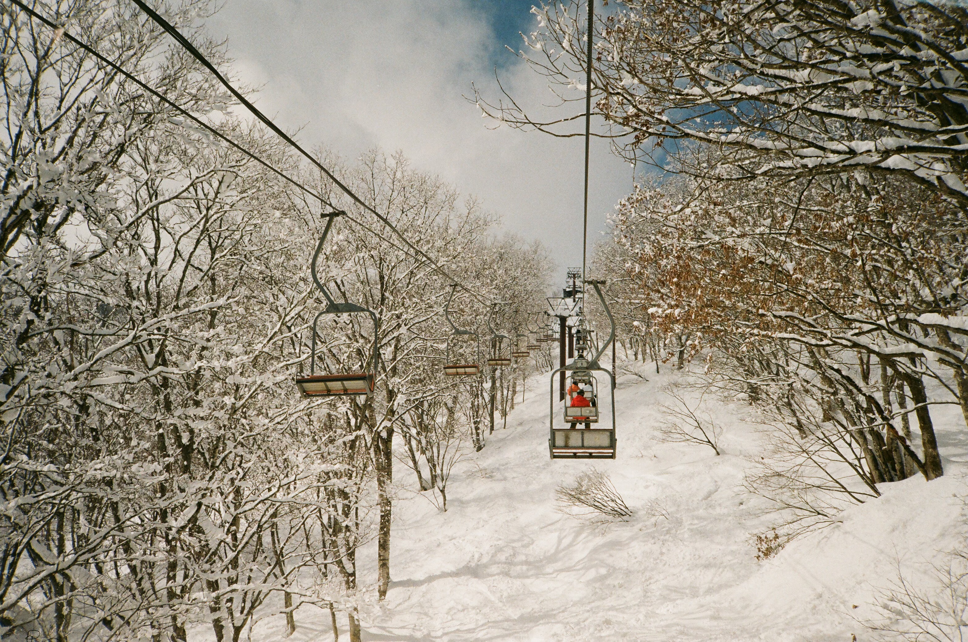 Chairlift through snow-covered trees, Honshu Japan, photo by Kinman Bailey