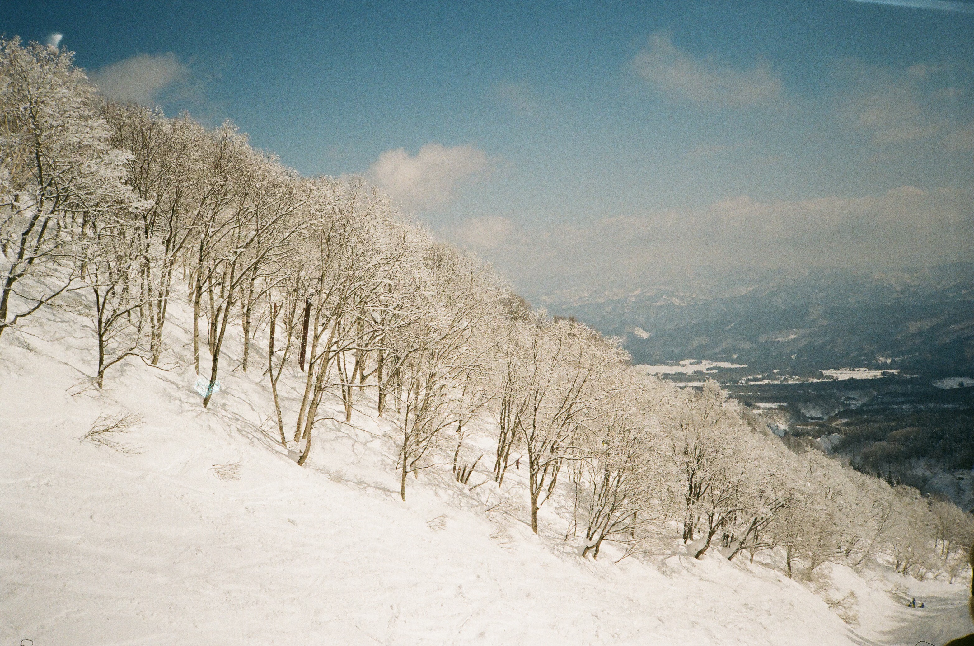 Snow-covered ski slope with frosted trees and valley view, Honshu Japan, photo by Kinman Bailey